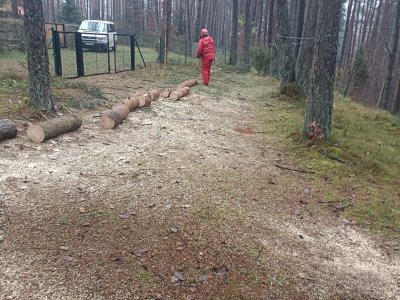 Wycinka i uprzątnięcie terenu w lesie - DUK Kaszuby